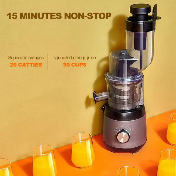 Automatic Fruit Vegetable Juicer