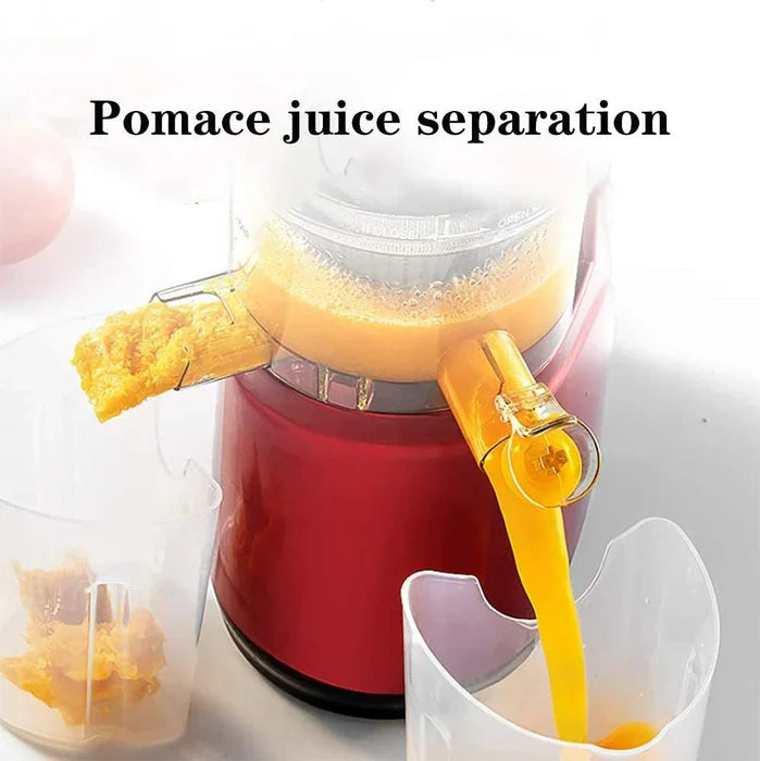 Automatic Fruit Vegetable Juicer
