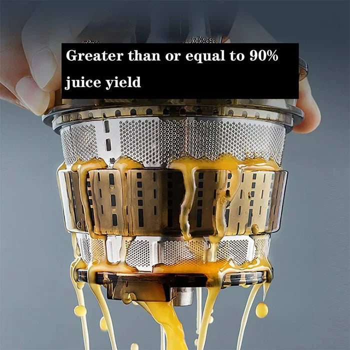 Automatic Fruit Vegetable Juicer