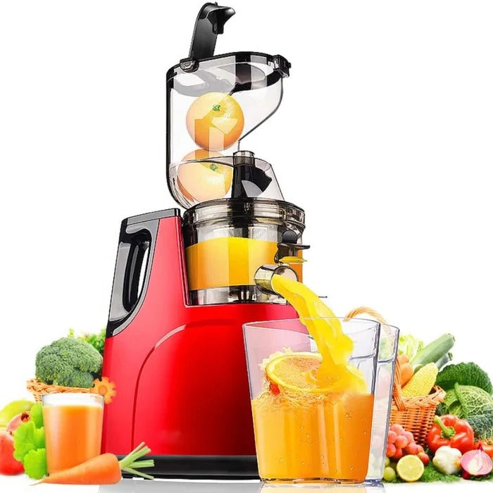Automatic Fruit Vegetable Juicer