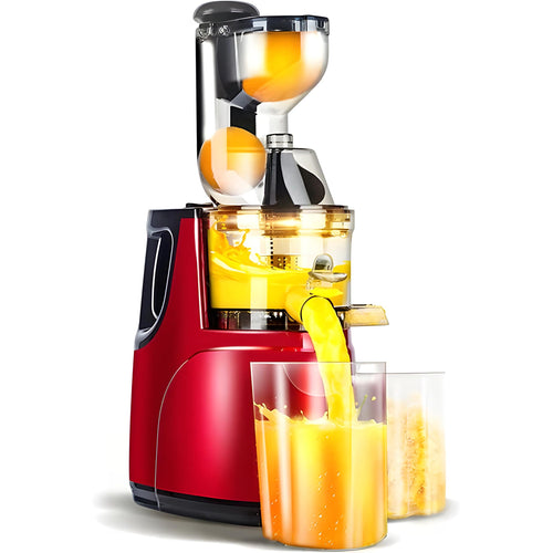Automatic Fruit Vegetable Juicer
