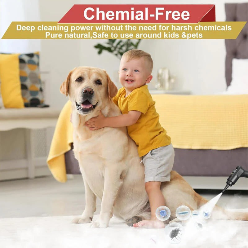 2500W Steam Cleaner with Gloves