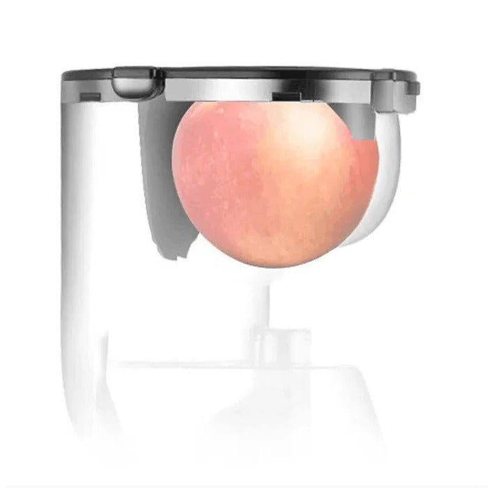 Automatic Fruit Vegetable Juicer
